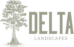 Delta Landscapes